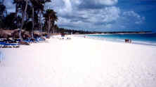 more_of_the_beach2.jpg (56779 bytes)