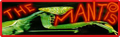 The Mantis