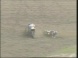 SKYY VODKA Grand Prix of Japan: Kenny Roberts crashes during Race