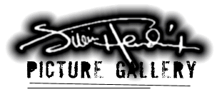 Jimi Hendrix Picture Gallery