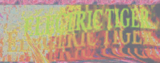 New Electric Tiger...TANZMUSIK - disco soaked in a vat of peyojuice! (or so it sounds?)