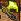 /user/gaxe.jpg