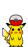/user/pika1.gif