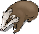 Badger Tribute