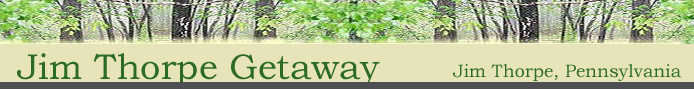 Top Banner