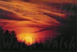 Blazed 11 x 14 signed print - $30.00 C 