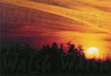 Urban Sunset 11 x 14 signed print - $30.00 C