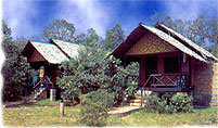 Thatch-roofed bungalows