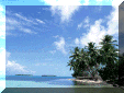 beach.gif (29928 bytes)