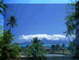 resort.gif (30364 bytes)