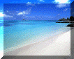 seashore.gif (28546 bytes)