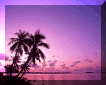 sunset.gif (22272 bytes)