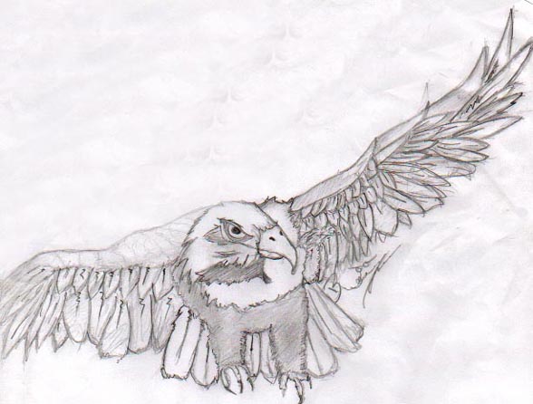 Drawn By: Jinx