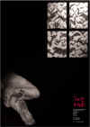 The_Birds_poster.jpg (112117 byte)