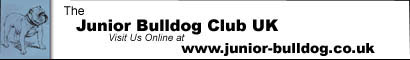 Junior Bulldog UK