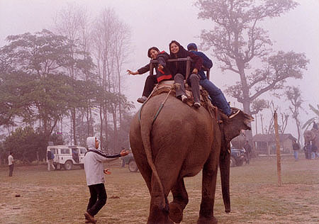 chitwan6