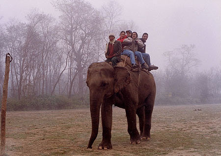 chitwan8