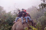 chitwan4