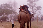 chitwan6