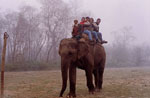 chitwan8