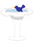 Birdbath
