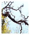 Sreejith's photos on flickr.com