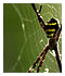 Sreejith's photos on flickr.com