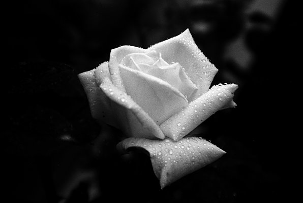 Pretty!!