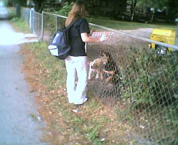 AW HELL NO!!!!!!!!!!!!!!!!!!!!!!!!!!!!! I KNOW YOU AINT BARK'N AT ME!