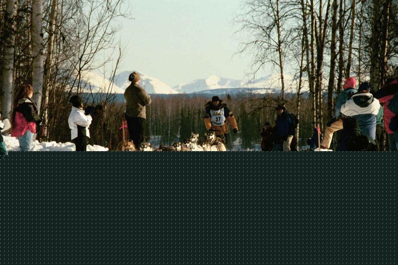 Image 5 of 27  -  87 kB