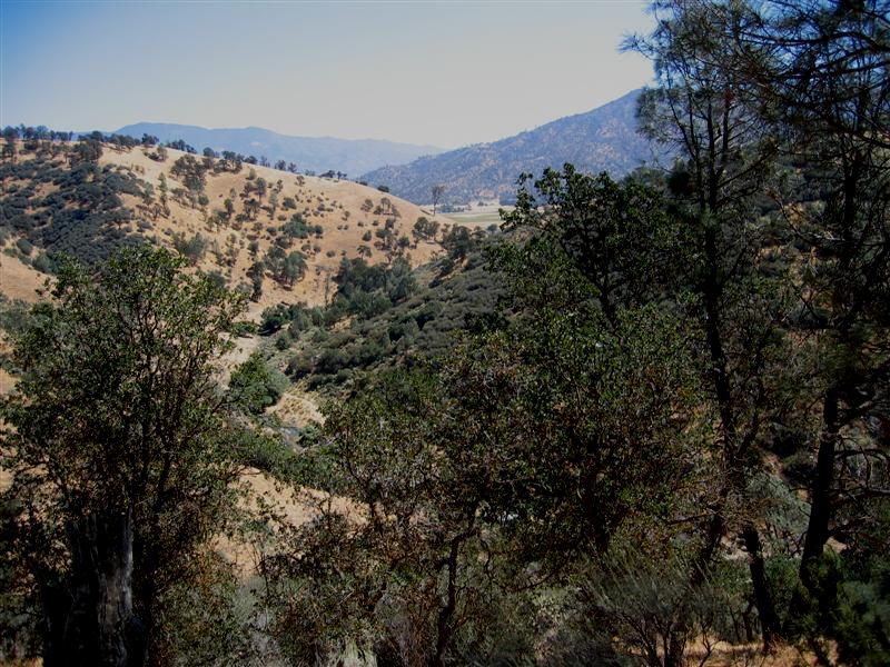 Image 42 of 123  -  129 kB