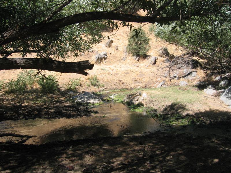 Image 54 of 123  -  130 kB