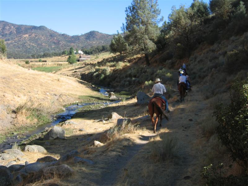Image 113 of 123  -  80 kB
