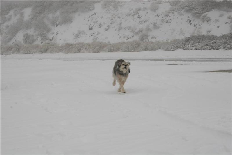 Image 9 of 27  -  33 kB