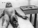 autopsy-rtl0.jpg