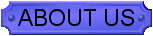 btn: About Us