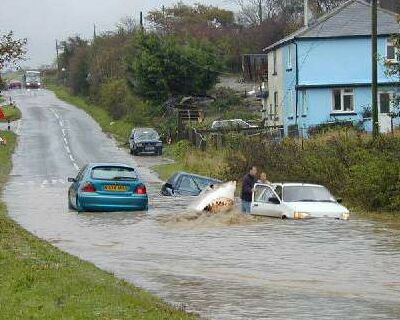 Flood with Shark