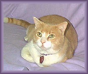Leo