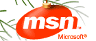 Microsoft Internet Search 