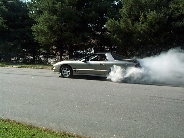 This is Jeremiah's 99 Trans Am....We just call him Donut!