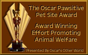 The Oscar 
Pawsitive Pet Site Award 