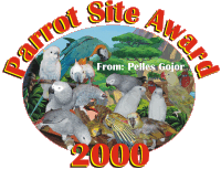 Pelle Award
