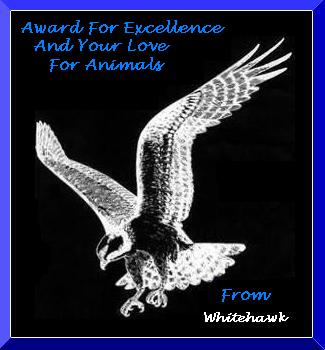 Love Animals Award
