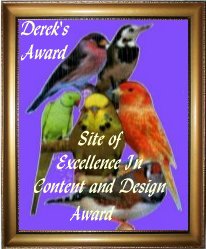 Excellence in Content and Design
