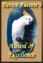 Parrot Haven