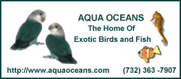Aquaoceans