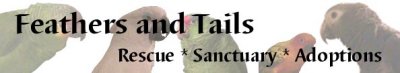 Feathers and Tails Sanctuary