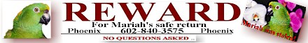 Help Bring Mariah Home!