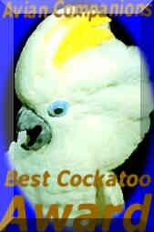 Best Cockatoo Award