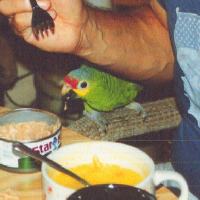 red lored amazon